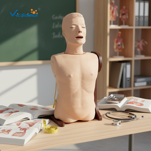 Modelo Avanzado de Cuidado Nasogástrico y Traqueal para Entrenamiento de Habilidades Médicas y de Enfermería - Product Image 3