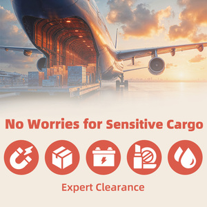 Transporte Aéreo de Mercancías Puerta a Puerta, Servicios Express FCL/LCL, China a EE. UU./UE/EAU, 8-10 Días, Envío Aéreo FBA Amazon - Product Image 6