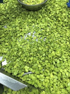 Haricots verts surgelés IQF avec peau, taille petite, pour la restauration <span class=keywords><strong>et</strong></span> la vente en gros - Product Image 3