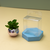 Vente en gros Boîte d'emballage plate pliable pour petits cadeaux avec cheville suspendue Boîtes d'emballage transparentes en PET