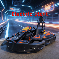 Go Kart a Gasolina para Parque de Atracciones, Karts de Carreras para Adultos con Freno de Disco Trasero