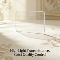 Custom Square Rounded Meniscus Optical Lens Strict Quality Control 25mm Dia 2mm Edge Thick Factory Supply for Mobile Phone Lens