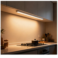 Éclairage LED moderne pour armoires avec détecteur de mouvement, encastré, à intensité variable, pour cuisine - Éclairage intérieur