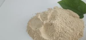 90% מאגוזי אבקת קסטית מרוקעת מגנזיט לטיפול במים - Product Image 5