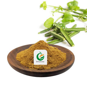 Fruiterco bitkisel özü 50X Cissus Quadrangularis özü tozu Cissus Quadrangularis özü - Product Image 1