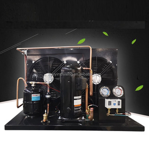 Unité <span class=keywords><strong>de</strong></span> condensation frigorifique sur mesure 5 CV à économie d'énergie avec moteur Copeland Scroll pour supermarchés, fabriquée en Chine - Product Image 6