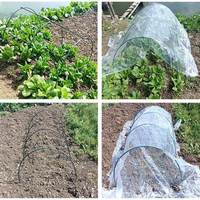 Easy – Tunnel de jardin Transparent en polyéthylène 300x45x30 cm