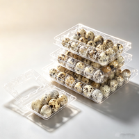 Plateau de rangement pour œufs de caille 6 12 15 18 20 24 30 - Emballage en plastique transparent PET - Barquette à œufs de caille avec couvercle