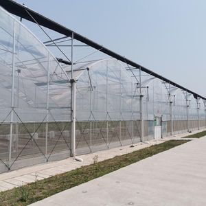 Película plástica de invernaderos de túnel polivinílico de bajo precio para planta de cerezo - Product Image 4