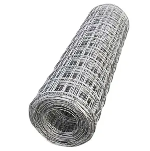 Alta Qualidade Soldada Wire Mesh Roll/20 Gauge Iron Wire Mesh