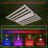 Lampu Tumbuh LED UV 800W 1000W Aluminium Evo LM301H/LM301B/LM281B IP65 Tambahan untuk Pertumbuhan dan Pembungaan Tanaman