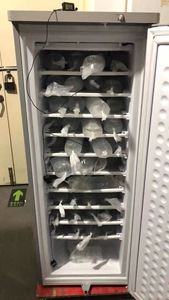 Congélateur vertical 198L à prix d'usine, vente en gros, DC 12V 24V, alimenté à l'énergie solaire - Product Image 4