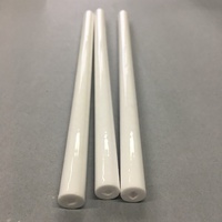Tube d'allumage en céramique d'alumine à 95 %, électrode Al2O3 pour brûleur d'allumage