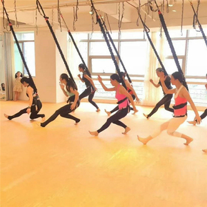 Équipement de Bungee Fitness Intérieur : Ceinture de Vitalité, Kit de <span class=keywords><strong>Yoga</strong></span> Aérien Suspendu à Domicile, Bande Élastique pour Danse Volante, Ensemble de Bungee Jumping Aérien - Product Image 3
