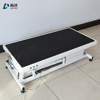 Table de toilettage pour animaux de compagnie LIZE PET en acier inoxydable de luxe avec 2 tiroirs pour le nettoyage des poils d'animaux