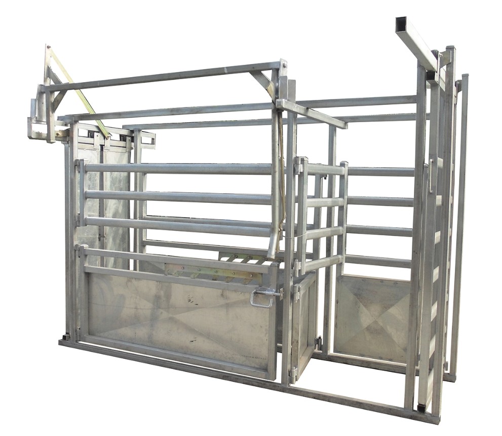 Share Fully automatic Factory wholesale Heavy duty used cattle corral gate panel galvanized cattle crush with weighing