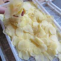 Machine industrielle de découpe de pommes de terre, de manioc et de yams en chips ondulées ou plates