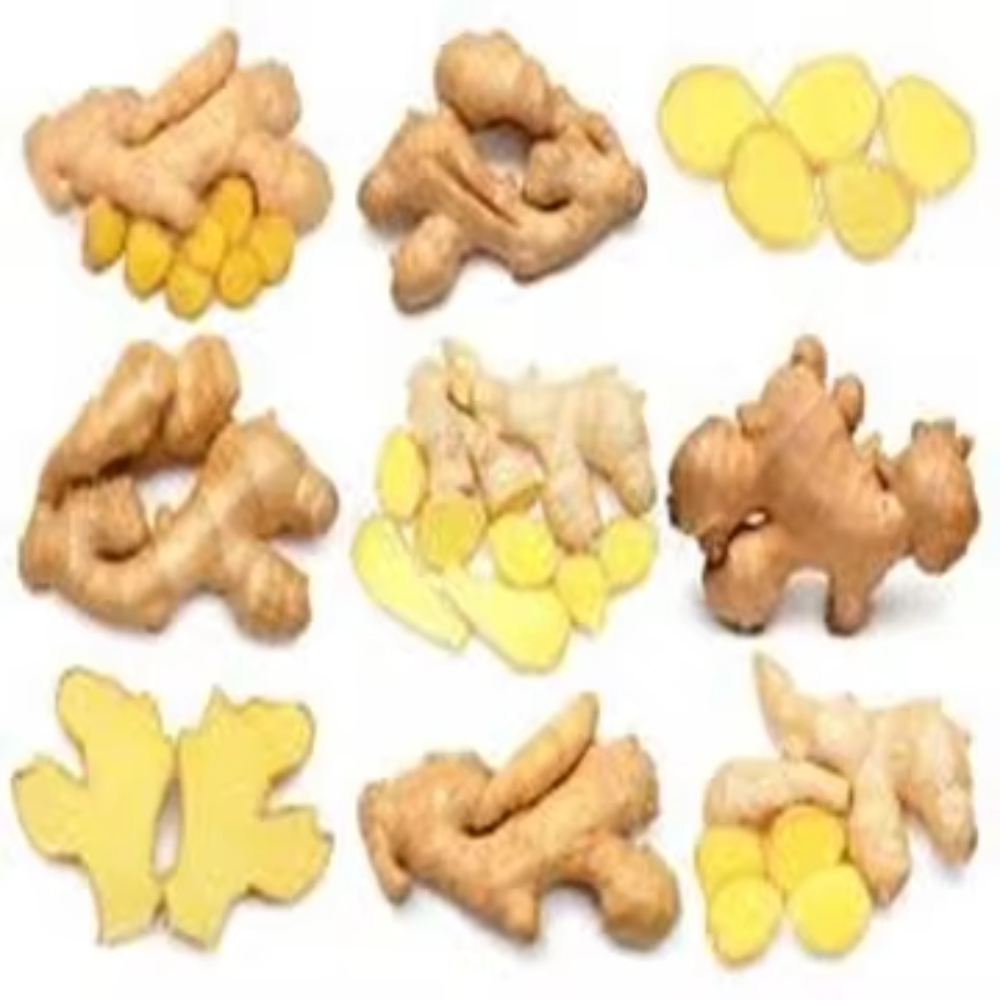 Spicy organic fresh ginger with roots is sold in batches at farm price! Healthy and delicious
