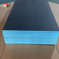 Fournisseur d'usine Panneau de support de carrelage XPS Isolation thermique du sol Panneau imperméable Salles de bain Polystyrène Panneau Wedi Applications murales