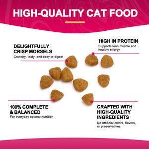 Aliments pour animaux de compagnie riches en protéines, origine traçable, vente flash, aliments secs pour chats sauvages riches en oméga - Product Image 4