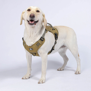 Nhiệm Vụ Nặng Nề Chiến Thuật Con Chó Khai Thác Cho Chó Lớn, Không Có Kéo Có Thể Điều Chỉnh Dịch Vụ Đào Tạo Dễ Dàng Điều Khiển Pet Làm Việc Con Chó Khai Thác Nâu - Product Image 5