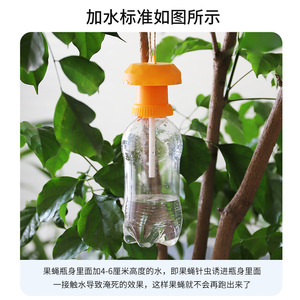 Piège à mouches des fruits avec tubes de leurre, portable, pour le contrôle des insectes dans les bouteilles, usage domestique - Product Image 3
