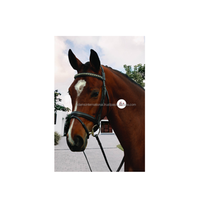 Brida de caballo de cuero con manivela Flash, mejor calidad, banda para cejas - Product Image 1
