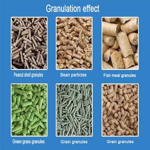 Dây đồng granulator gà, gia súc, chó, lợn, gà, vịt, Ngỗng Thức ăn viên máy, Thức ăn viên động cơ diesel - Product Image 4