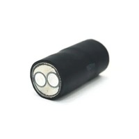 Cable de Alimentación Ignífugo de Aleación de Aluminio de Cinco Núcleos, Aislamiento XLPE, Voltaje Nominal 0.6/1KV, Cable de Alimentación Estándar Nacional