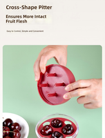 Eén-secondenpers 4-gaats kersenontpitter machine van ABS plastic, fruitontpitter, keukenhulpje voor het maken van jam & cake