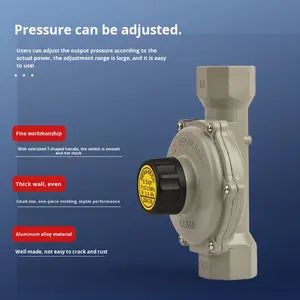 Valvola di Riduzione della Pressione del <span class=keywords><strong>Gas</strong></span> Naturale DTR-5AA (Q5) DN15 Coreana, Valvola Regolatrice di Pressione per Condotte di <span class=keywords><strong>Gas</strong></span> Naturale, Flusso 5KG/h - Product Image 1