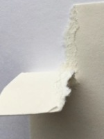 Papier absorbant blanc imprimable OEM Forest Deer de 1 mm pour sous-verres en carton