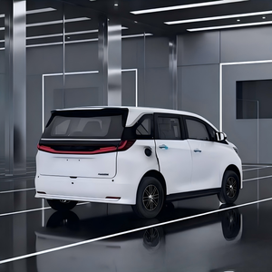 SUV Elettrico di Lusso Leggero, 5 Porte, 5 Posti, Velocità Massima 45km/h, Capacità di Carico 1000kg, per Uso Domestico, Veicolo a Bassa Velocità per Adulti - Product Image 4