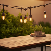 Guirlande lumineuse LED en cuivre en gros, 2700K blanc chaud, étanche IP65 pour jardin, patio, décorations de vacances et extérieur