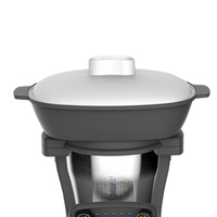 Sans BPA, cuiseur thermique, robot de cuisine, machine à soupe, mini cuiseur à riz, pétrissage, sauté, friteuse, mixeurs, robot culinaire