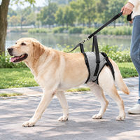 Harnais de soutien arrière réglable pour chien, rembourré et doux, avec laisse, pour chiens âgés, blessés, arthritiques, de grande race