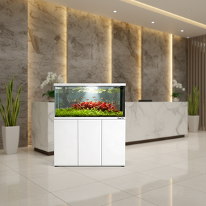 Acquario Completo da 120CM con Sistema di Filtraggio, Vasca in Vetro Ultra Trasparente per Pesci d'Acqua Dolce - Product Image 1