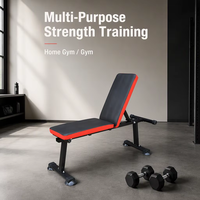 Banc de musculation réglable en gros, 3 positions (incliné, décliné, plat), pliable, pour entraînement à domicile et musculation