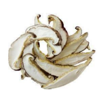 Champignons Shiitake déshydratés en tranches 3mm-5mm Qualité alimentaire naturelle Sac de 10kg Exportation