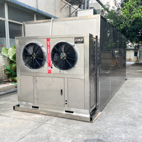 Hoogwaardige fruitdroogmachine voor bananen- en ananaschips