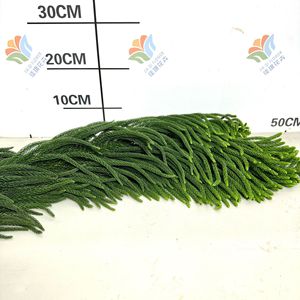 Ramas Frescas de <span class=keywords><strong>Araucaria</strong></span> Niloticosa para Decoración Floral de Bodas y Navidad, Planta Acuática Verde Fresca para el Festival de Primavera - Product Image 4