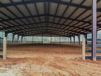 Taller de Estructura de Acero de Alta Resistencia para Planta de Fabricación