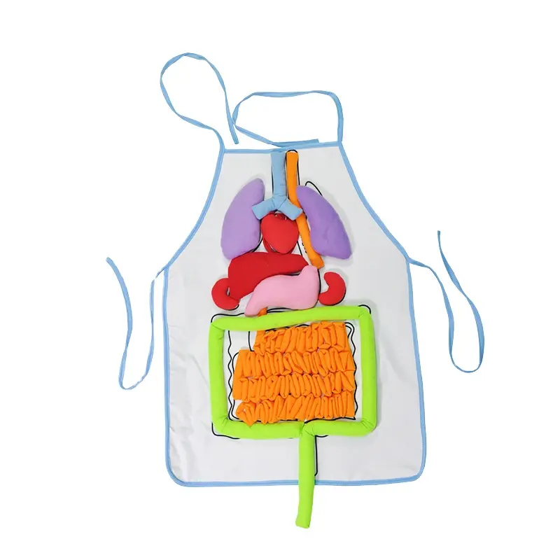 Lelebe-juguete educativo para niños en edad preescolar, juguete educativo de felpa de órganos humanos con juegos educativos, 2022