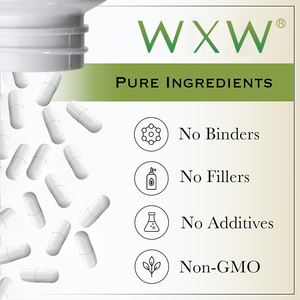 Cápsulas de aceite de orégano WXW, suplemento natural, cápsulas de aceite de orégano salvaje vegano, cápsulas de aceite de orégano - Product Image 3