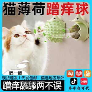 Juguete de pelota para gatos con diseño de erizo, de plástico, para combatir el aburrimiento, estilo caricatura, operación manual - Product Image 5