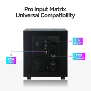 CHORDIO Pure MA10 サブウーファー スピーカー プロフェッショナルオーディオ スタジオベース 10インチ ファイバーグラスコーン 100-300W出力 ホームシアター用 - Product Image 6