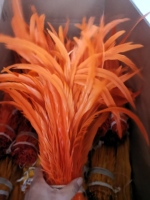 HS gros naturel blanchi naturel 12-14 pouces blanchi Canvial demi Bronze Coque plumes à vendre fête