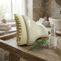 Outils de soin du visage OEM pour le drainage lymphatique, brosse sculptante et masseur Gua Sha