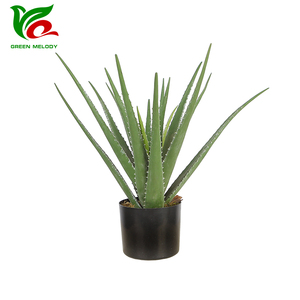 Planta de <span class=keywords><strong>Aloe</strong></span> <span class=keywords><strong>Vera</strong></span> falsa de 40cm, planta de <span class=keywords><strong>Agave</strong></span> Artificial, plantas de interior para el hogar, maceta para interior, mesa, decoración de jardín - Product Image 1