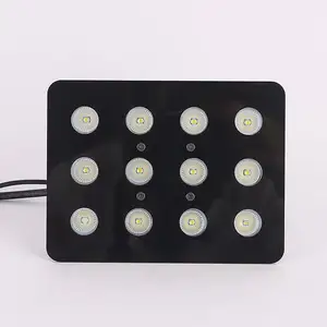 12W IP65 CCT LED Security Light Floodlight with Die Casting Aluminum Housing for Stadiums and Outdoor